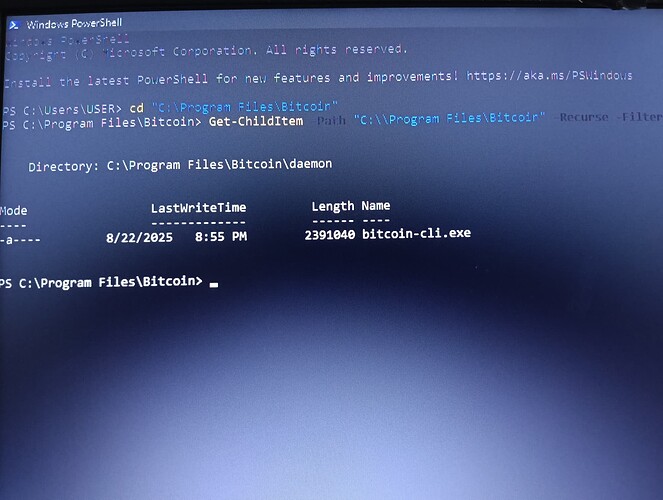 1000344905